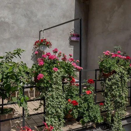 Veronetta House Verona