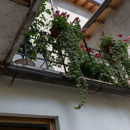 Veronetta House 4*