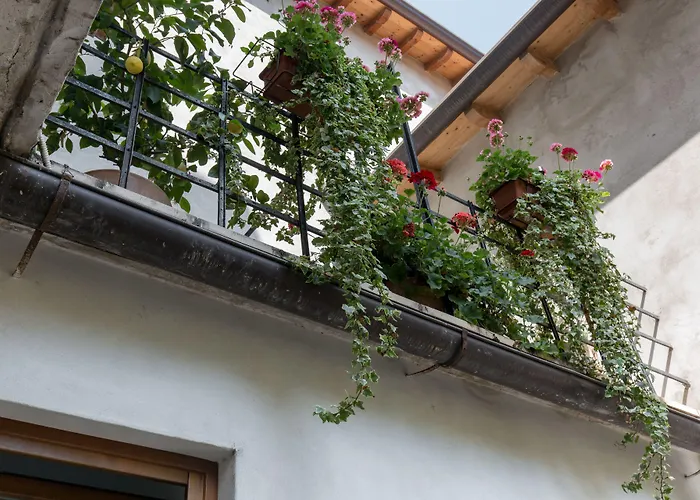 Veronetta House