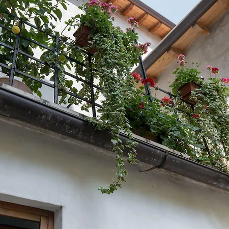 Veronetta House