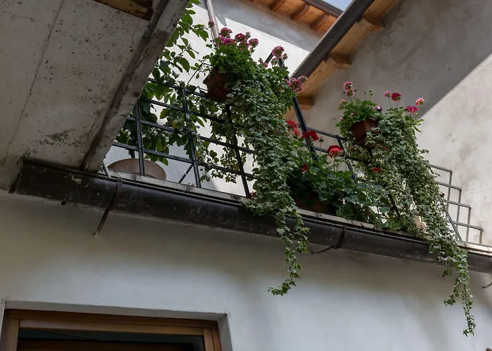 Veronetta House 4*